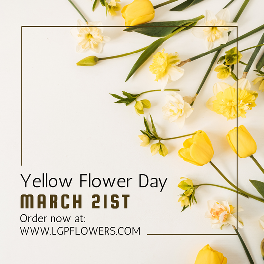 International Yellow Flower Day: The Meaning Behind Día de las Flores Amarillas