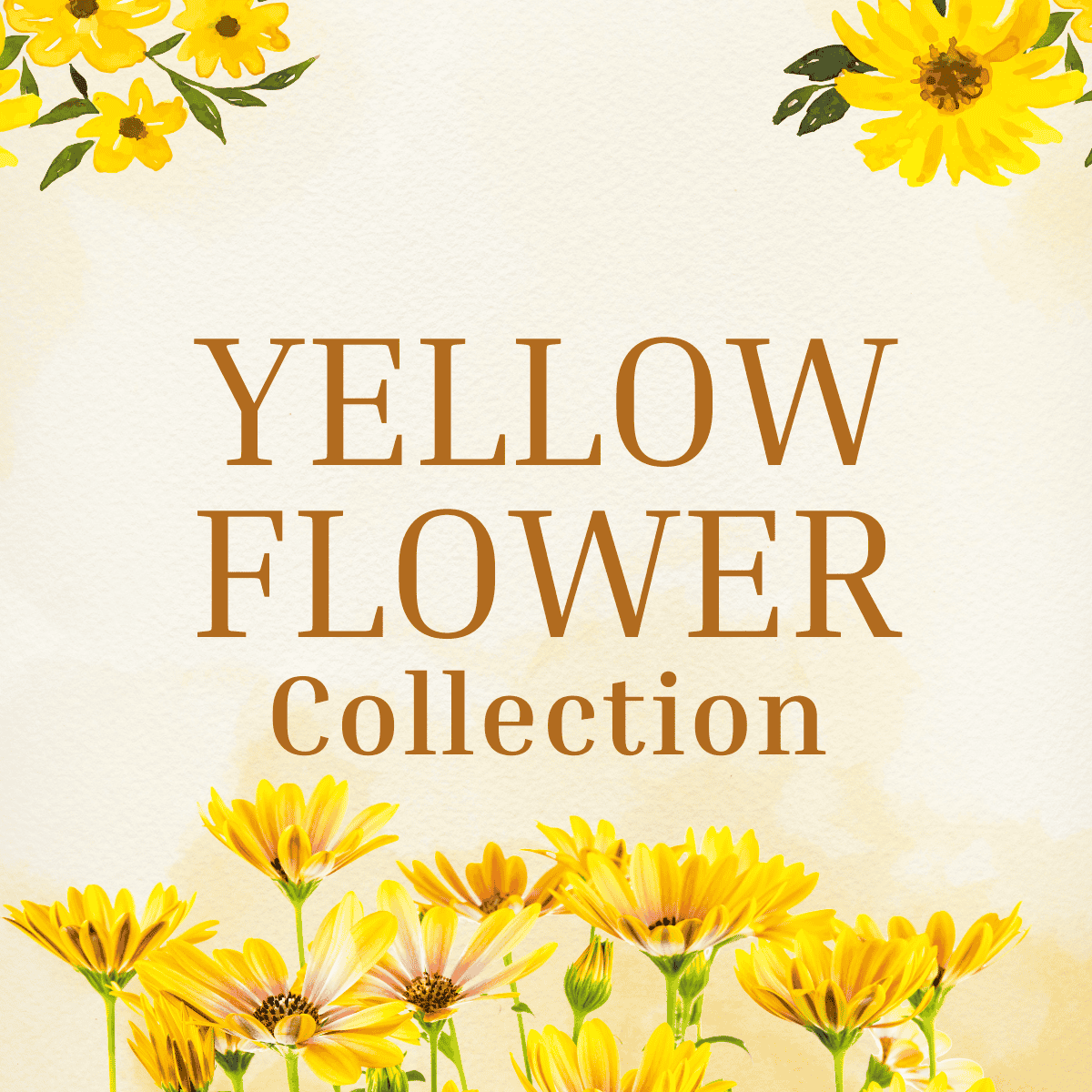 Yellow Luxury Flowers Bouquet | Yellow Roses & Fresh Yellow Flower Day