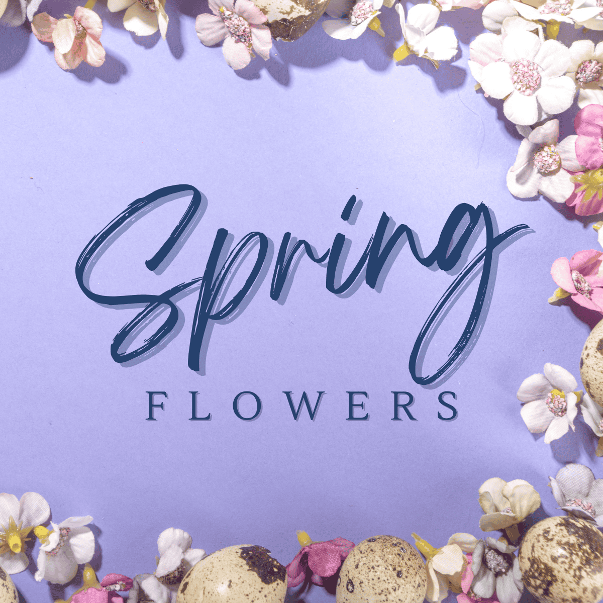 Spring Flowers